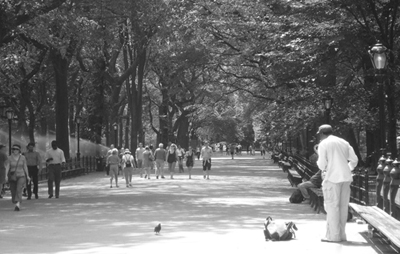 Central Park